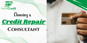Credit Repair Consultant